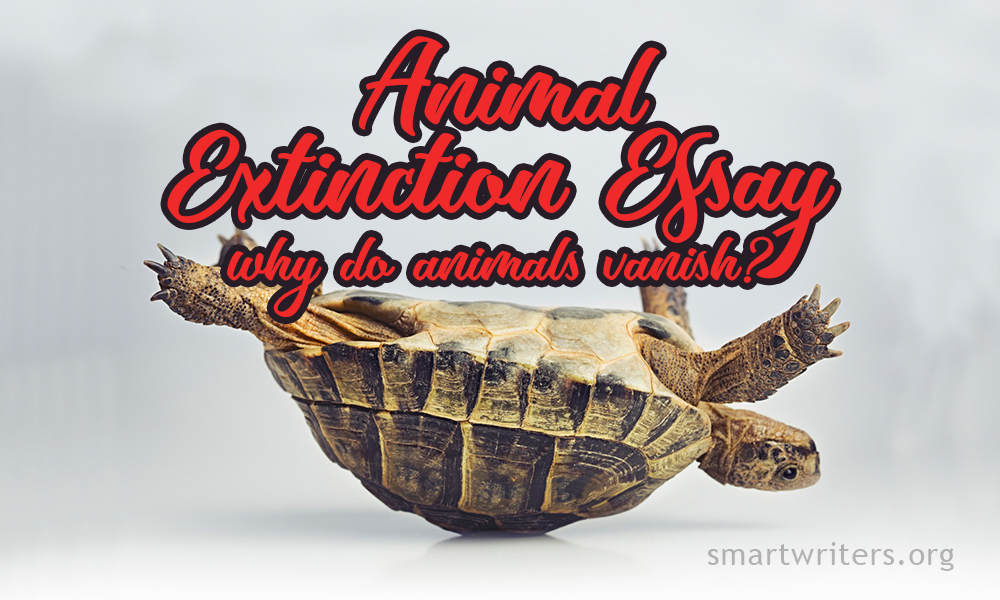 animal extinction essay