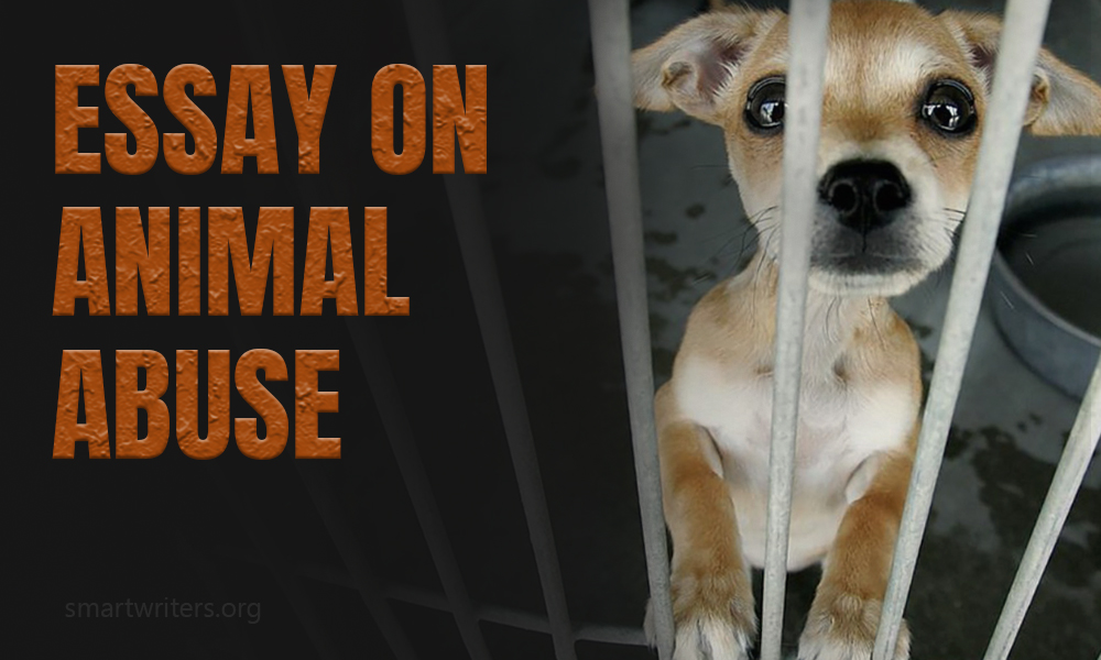 write an essay on animal abuse